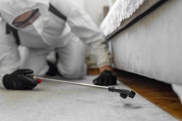 Professional Pest Control technician working in Gower, MO