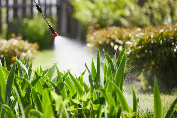 24/7 Emergency Pest Control experts in Gower, MO
