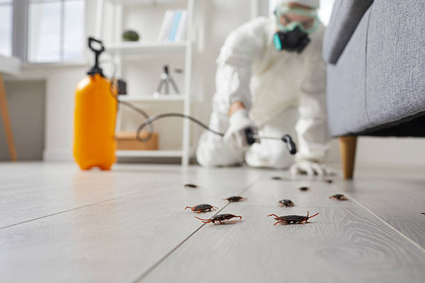 Affordable Pest Control solutions in Gower, MO