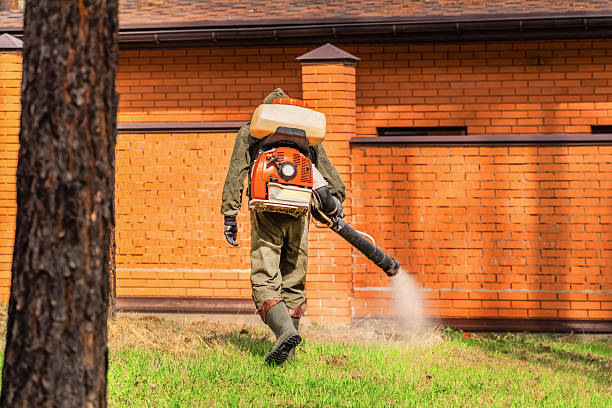Top rated local Pest Control specialists in Gower, MO